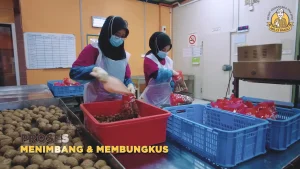 Mr23Bakso 27