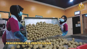 Mr23Bakso 40