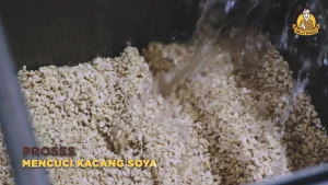 Mr23Bakso 54